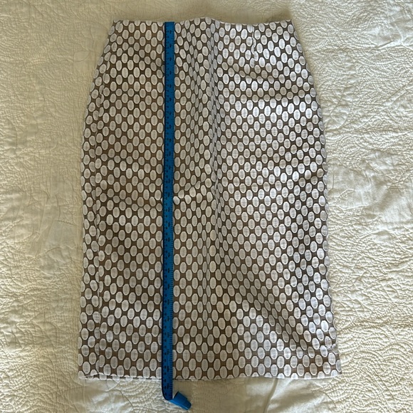 Midi Skirt - Picture 1 of 4